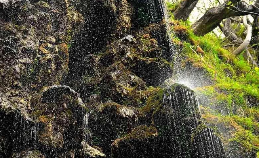 آبشار سیاسرت در جنگل دالخانی رامسر