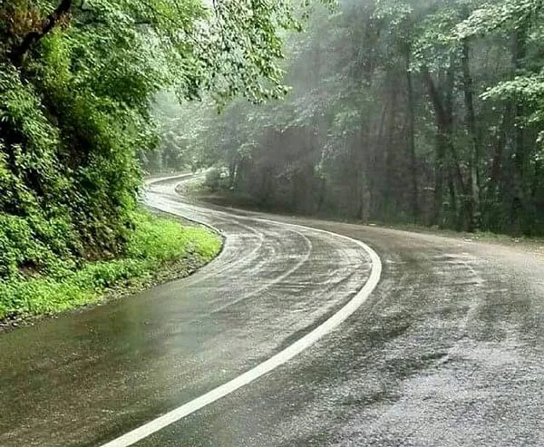 جاده بارانی جنگل گیسوم