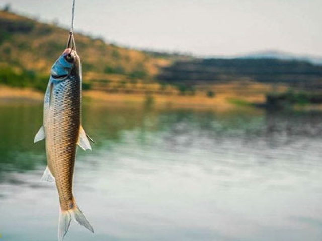 ماهیگیری در رودخانه جاجرود