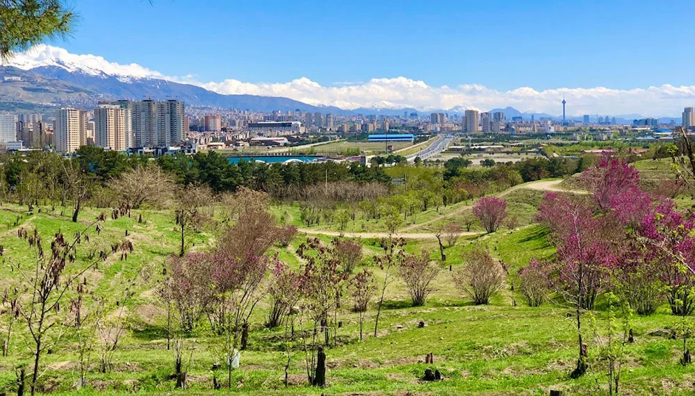 پارک جنگلی چیتگر