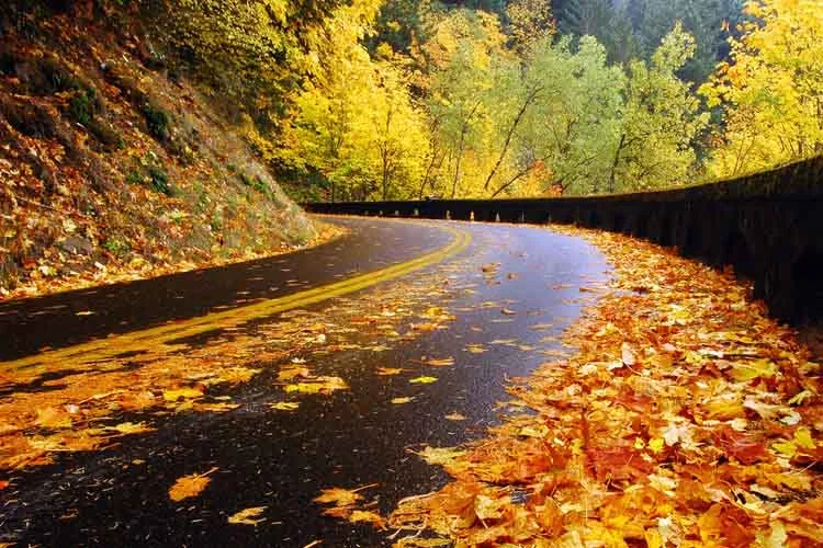 جاده چالوس در پاییز