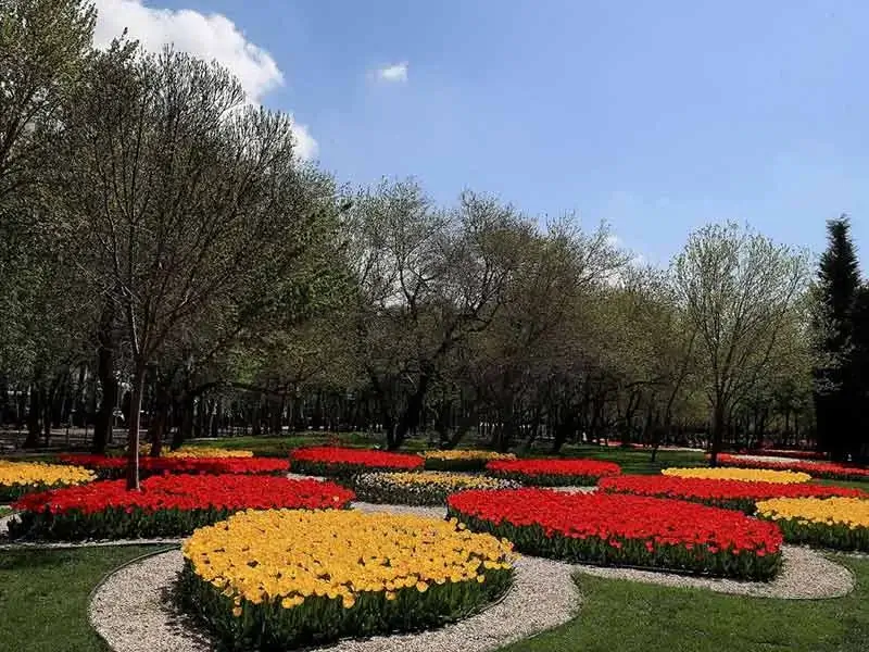 باغ بانوان پارک ملت مشهد