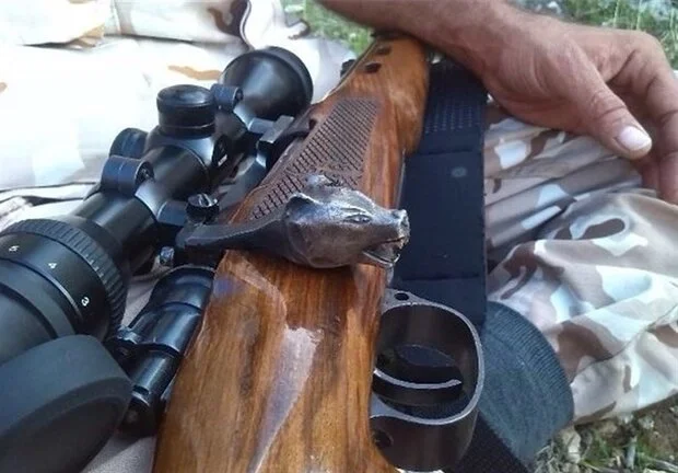 چهار شکارچی غیرمجاز در کلاردشت دستگیر شدند