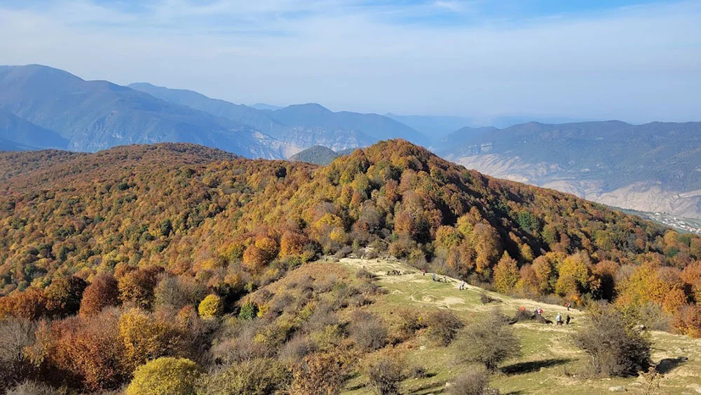 جنگل الیمستان