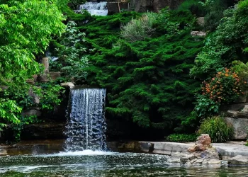 باغ گیاه شناسی تهران