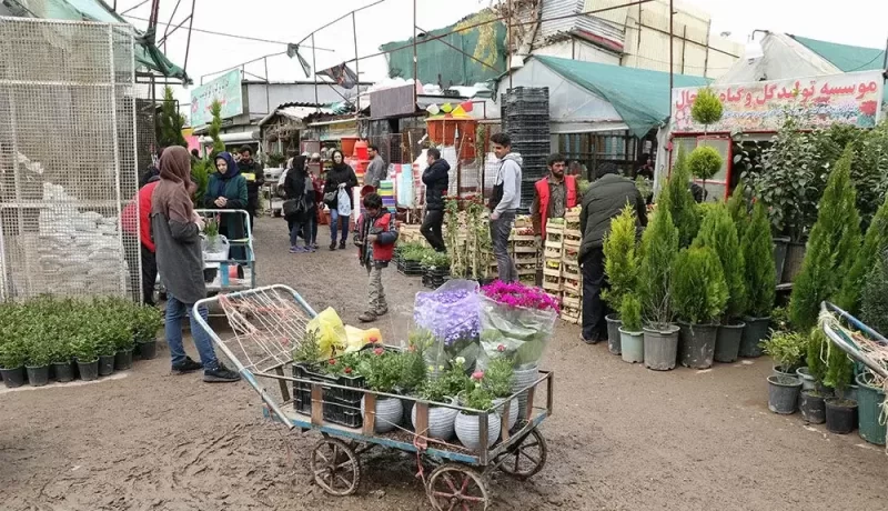بازار گل و گیاه شهید محلاتی
