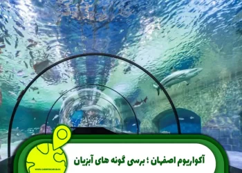 آکواریوم اصفهان