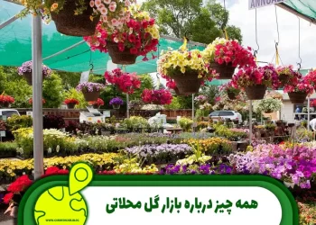 بازار گل محلاتی