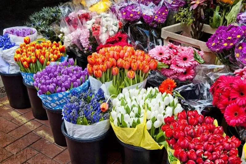 بازار گل محلاتی عکسها 