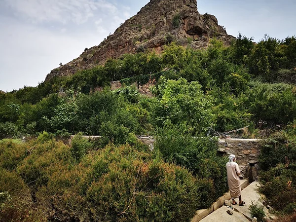 جبل اخضر