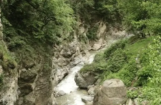 چشمه آب معدنی علی زاخونی
