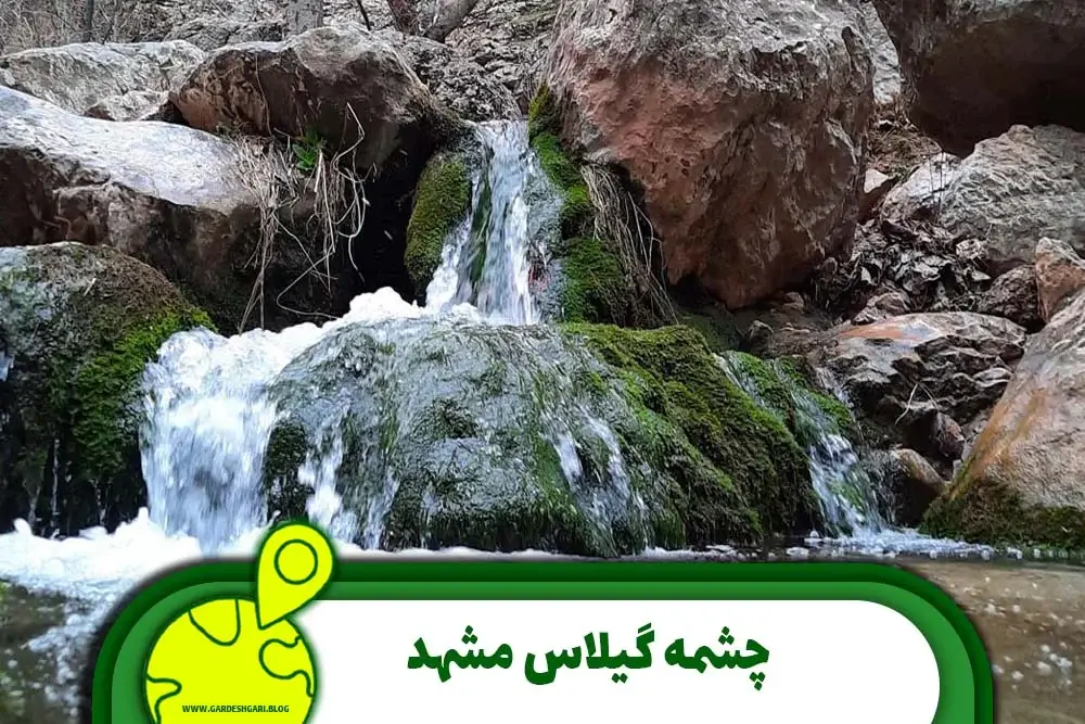 چشمه گیلاس مشهد