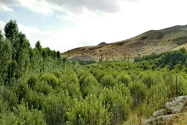 دره قاسملو ارومیه