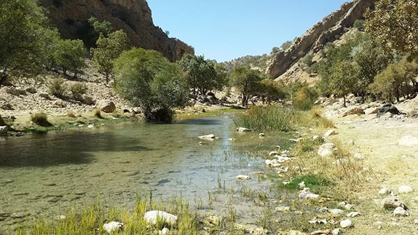 بهشت گمشده شیراز