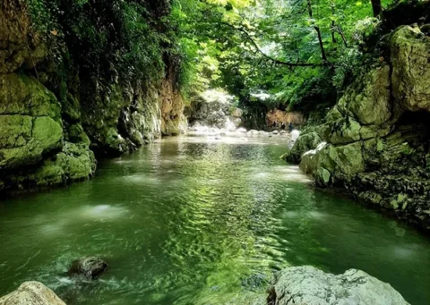 تنگه دار نوشهر