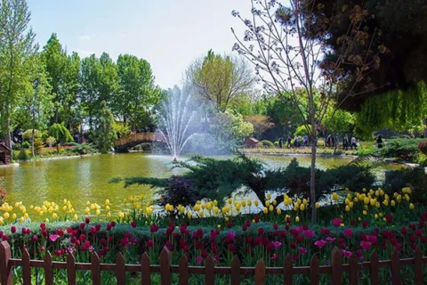 باغ گلها کرج