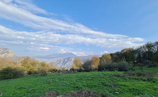 جنگل ارفع ده