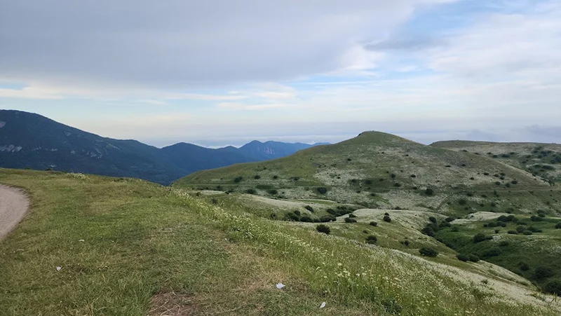جنگل فندقلو کجاست