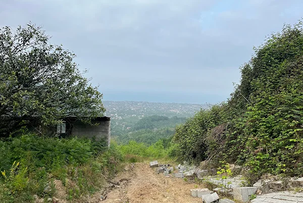 روستای اربکله رامسر
