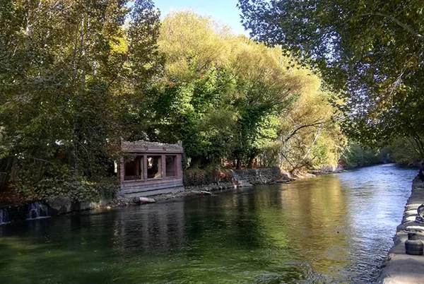 باغ بهادران
