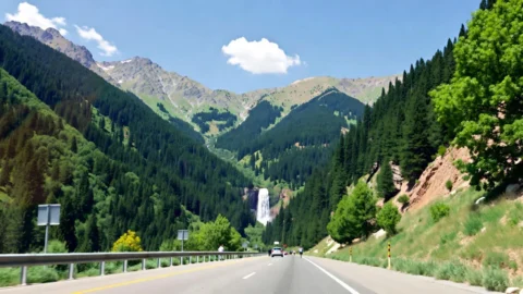 فاصله تهران تا شیرگاه