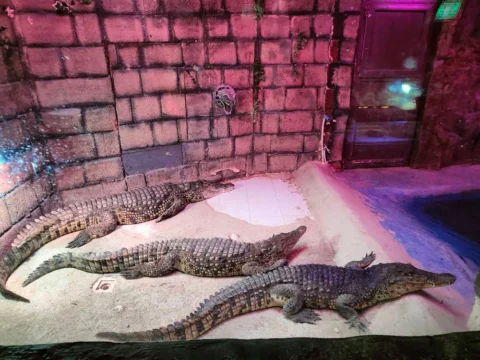 باغ خزندگان اصفهان