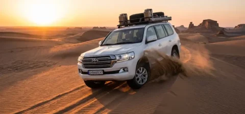 سافاری کیش
