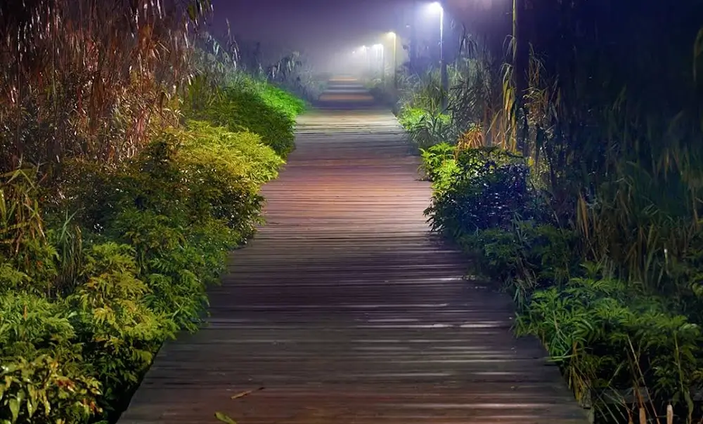 پل چوبی کیاشهر در شب