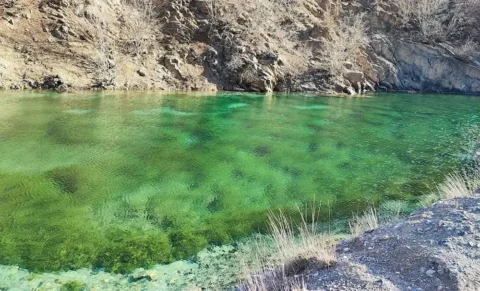 دریاچه دوگل