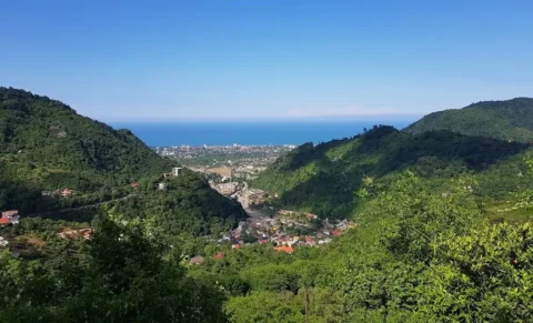 سرولات