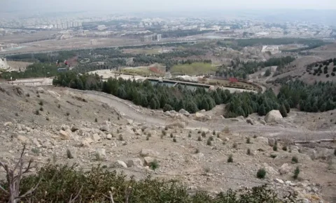 باغ وحش صفه اصفهان