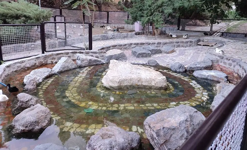 حوضچه آب باغ وحش صفه