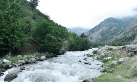 پارک جنگلی رودبارک