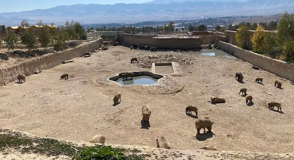 حیوانات باغ وحش شیراز