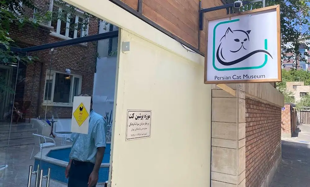 کافه موزه گربه تهران