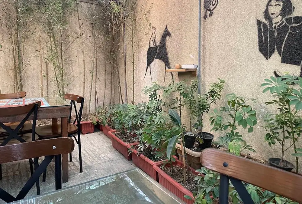 حیاط موزه گربه تهران ولیعصر