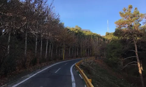 پارک جنگلی شیان