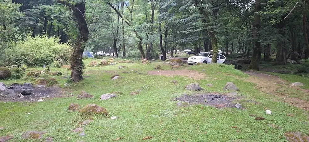 جنگل تیلاکنار سلمان شهر