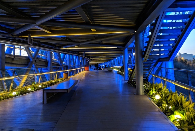 داخل پل طبیعت تهران