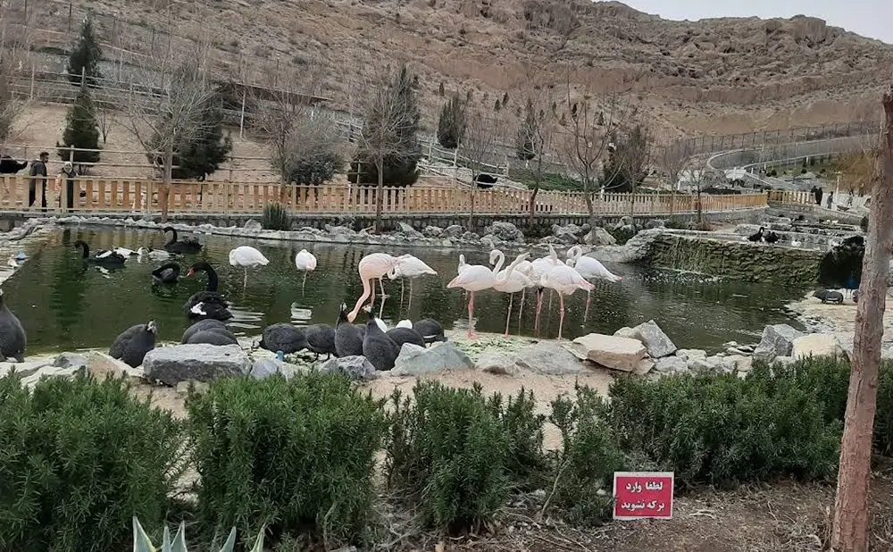 باغ پرندگان قم